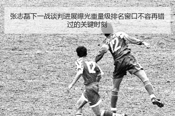 张志磊下一战谈判进展曝光重量级排名窗口不容再错过的关键时刻